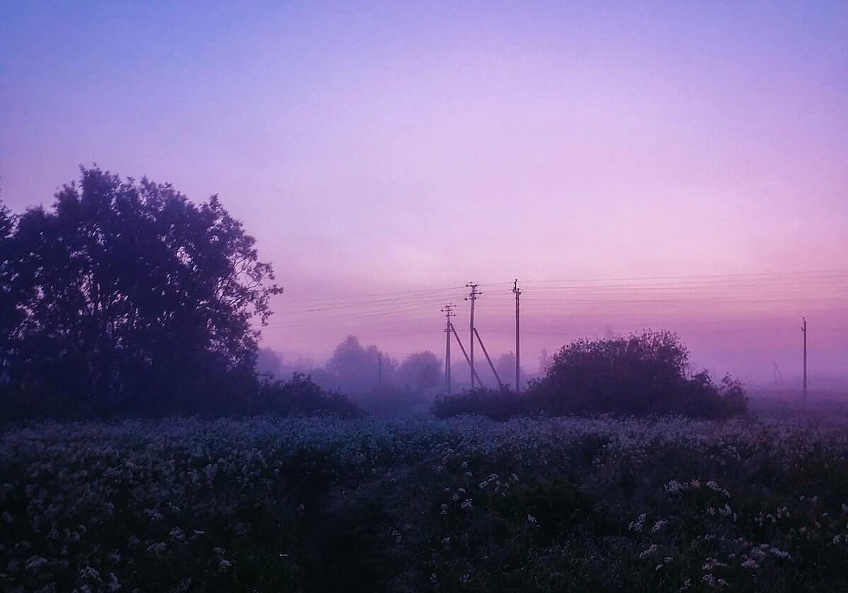 风车动漫写作练习：把信息茧房怎么加深写清楚，然后画一条时间线（先把信息弄直）